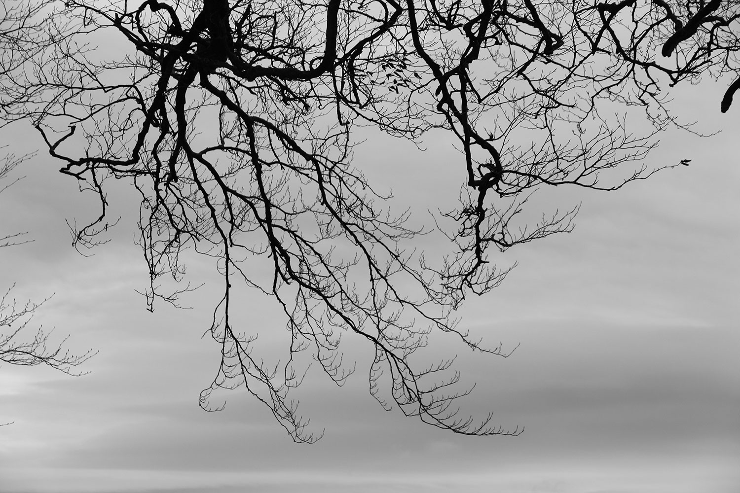 sandra schneider, kamerafrau, kameramann, hannover