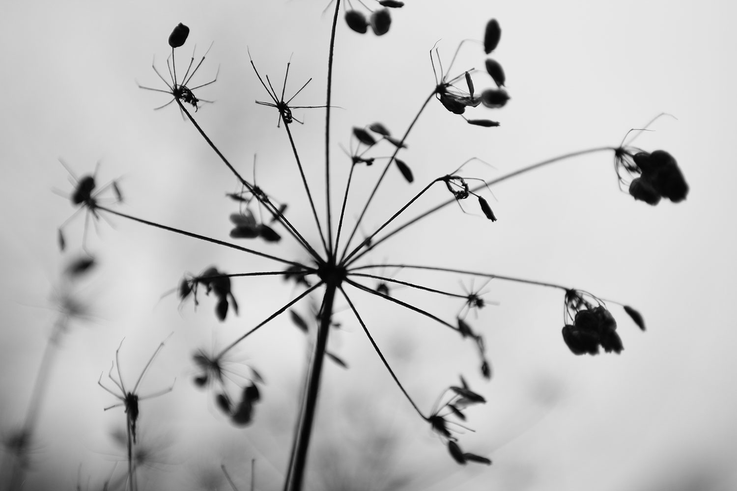 sandra schneider, kamerafrau, kameramann, hannover